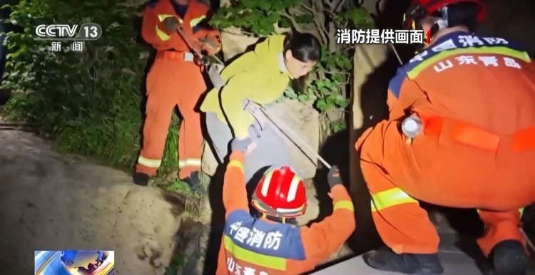 总台央视记, tenan 总台央视记, tenan